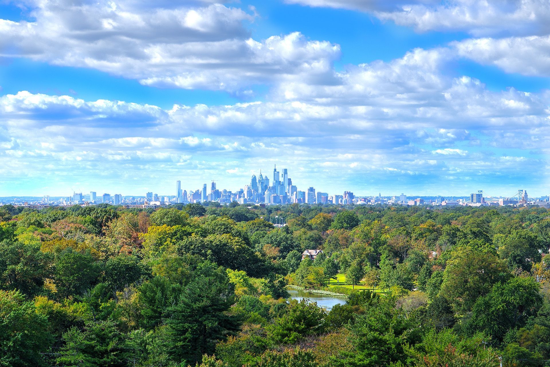 A view of the city skyline from a lush green forest.