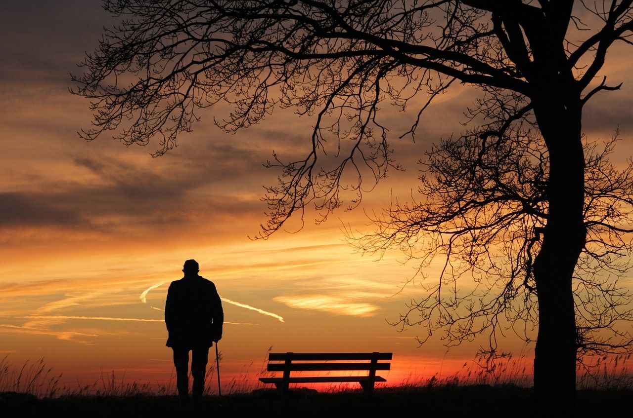 Bench and dried tree with an orange sunset in the background,  and a person standing next to the ben