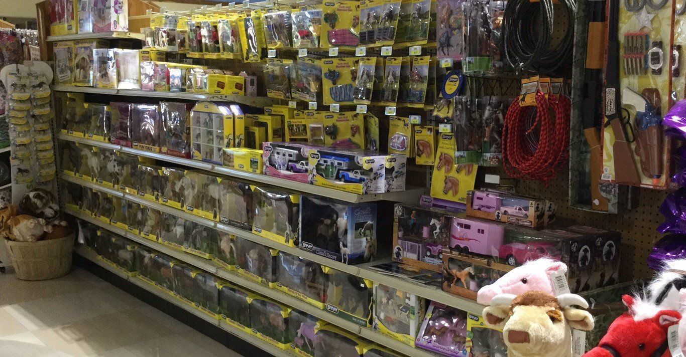 Various types of horse supplies at the local pet store.
