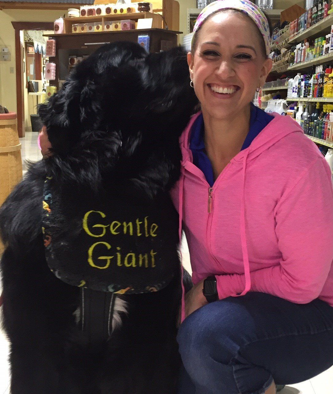 A black & white St. Bernard with its dog groomer.