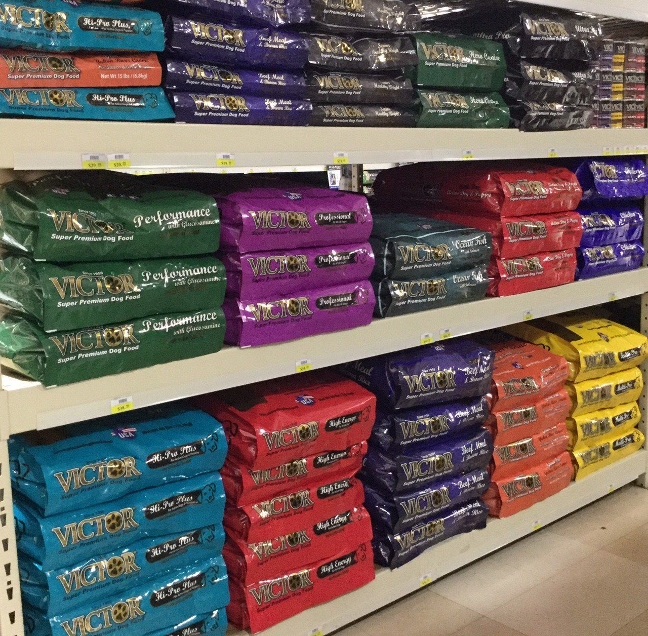 An array of dog toys on display at the local pet store.