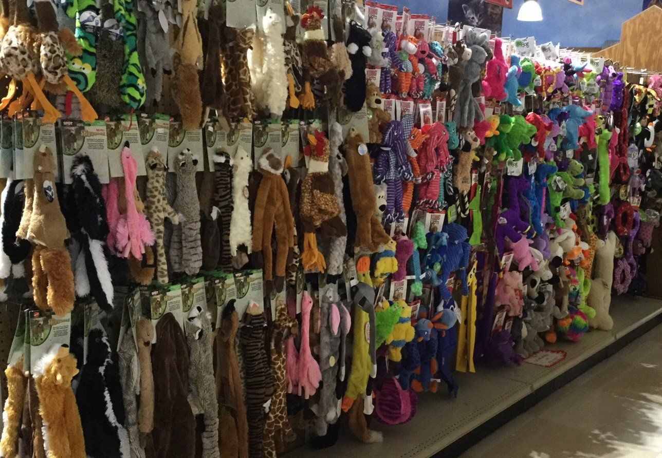 America's Country Store and Pet Resort Gallery 3