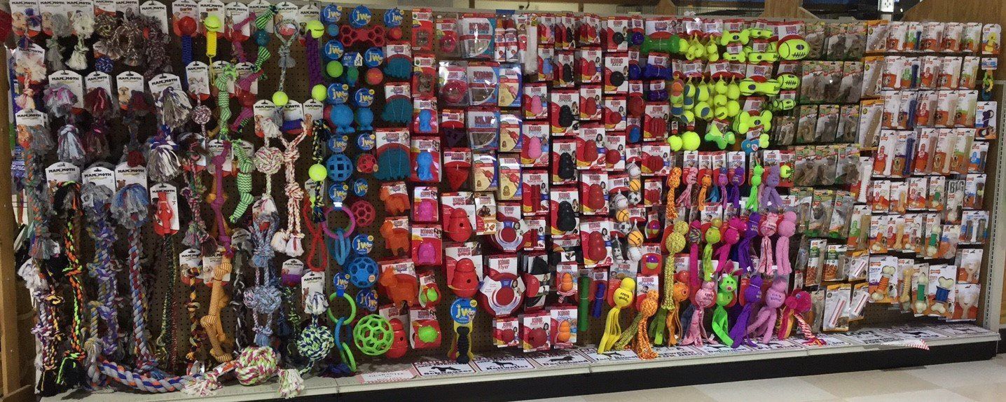 A wide variety of dog toys on display at the local pet store.