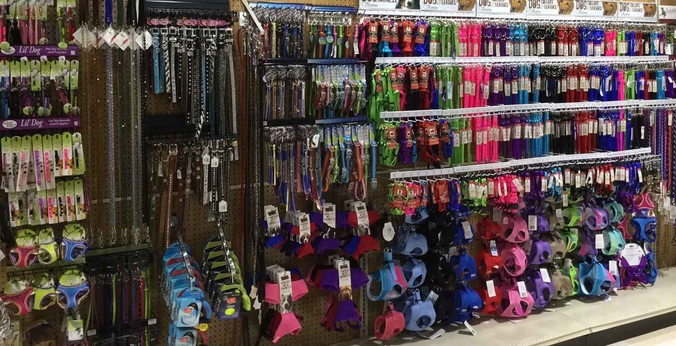 All types of dog collars, leashes, & harnesses at the local pet store.