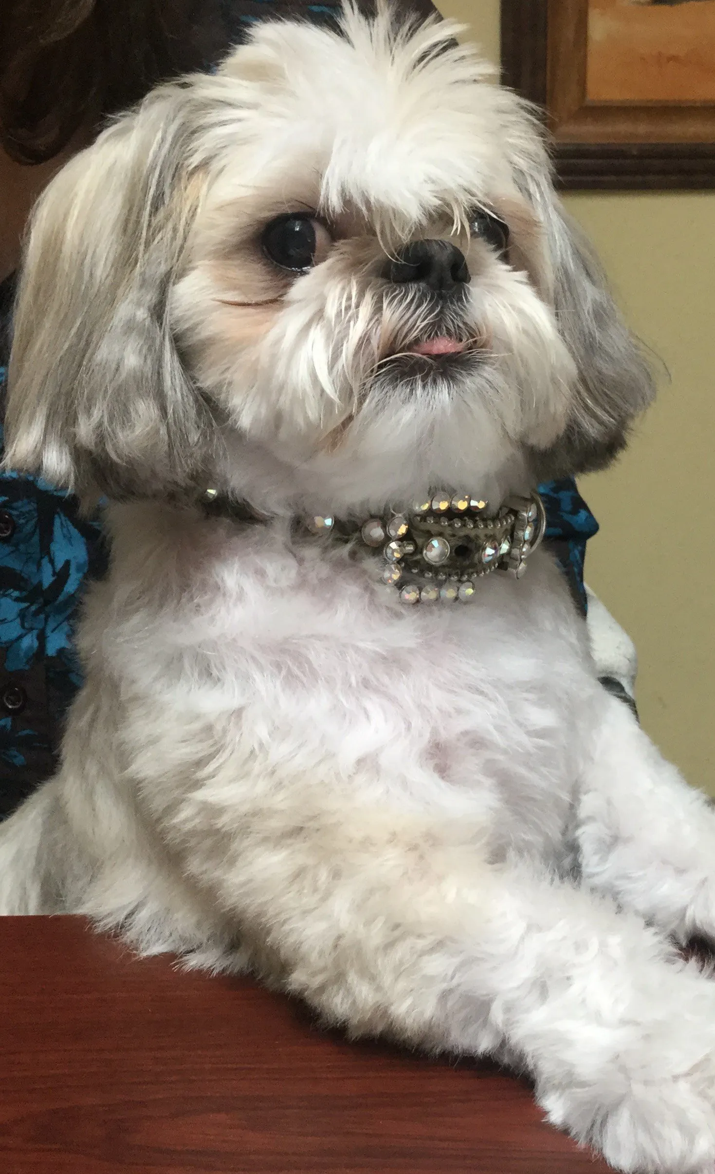 Grizzly - Executive Hall Monitor