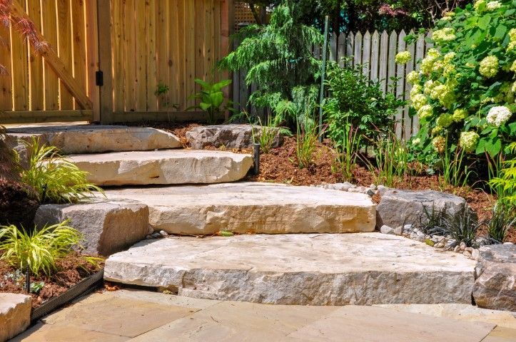 Stone steps in a garden beside a wooden fence and green shrubs, with a paved path in front
