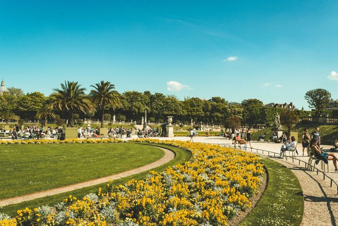 Park with yellow flower beds, palm trees, and people walking along a curved path under a blue sky.