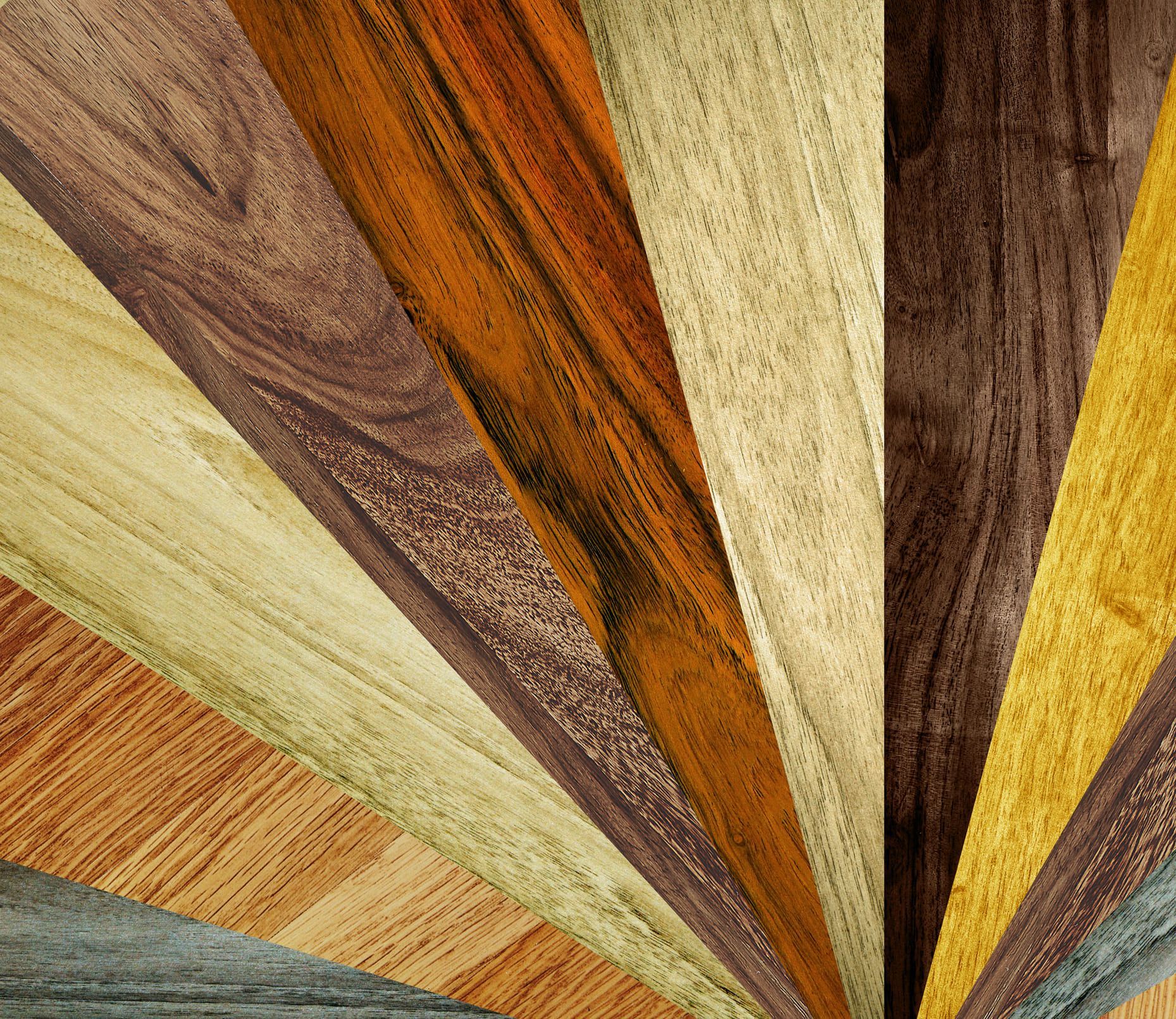 A bunch of different types of wood are arranged in a fan