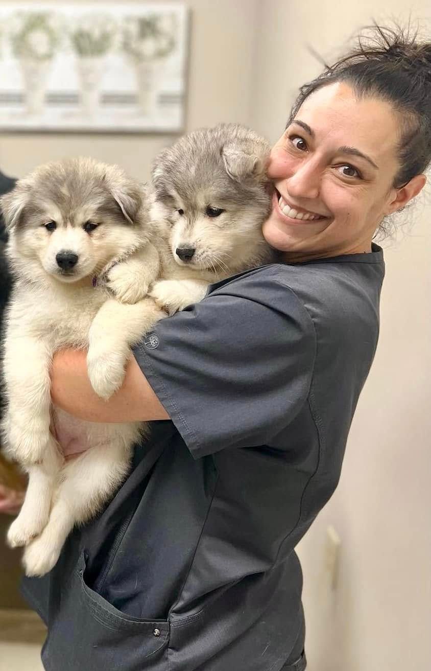 Woman holding two fluffy puppies, smiling indoors in a clinic or office setting