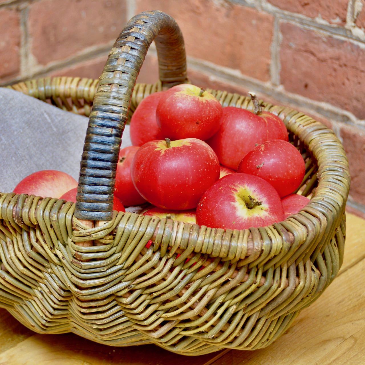 Jenny Crisp Basket Maker & Willow Grower