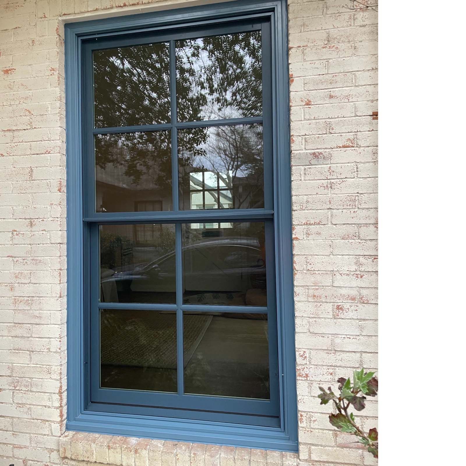 Blue-framed window on a brick exterior. The window reflects trees and a building; a plant is on the lower right.