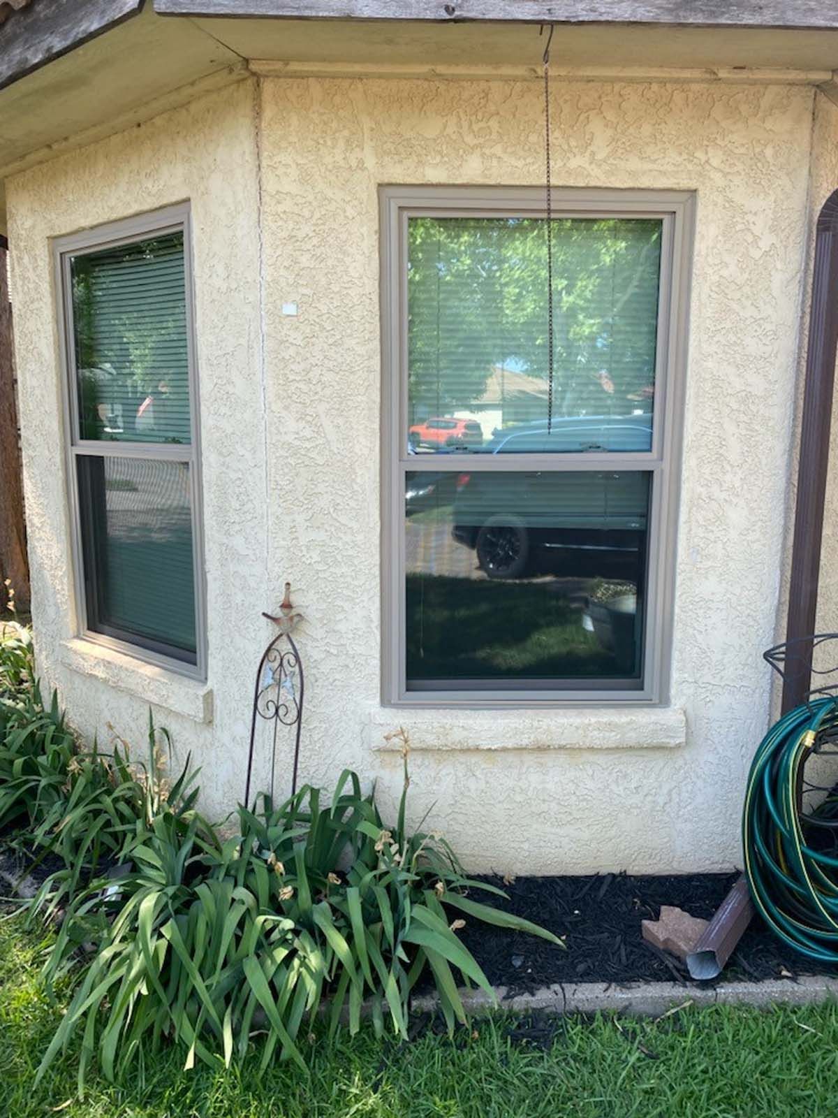 Two windows on a beige stucco wall with a green hose, black mulch, and plants below.