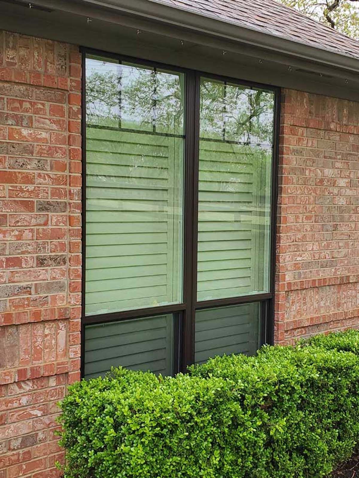 Tall, dark-framed window on a red brick building with green bushes below. Blinds are visible inside the window.