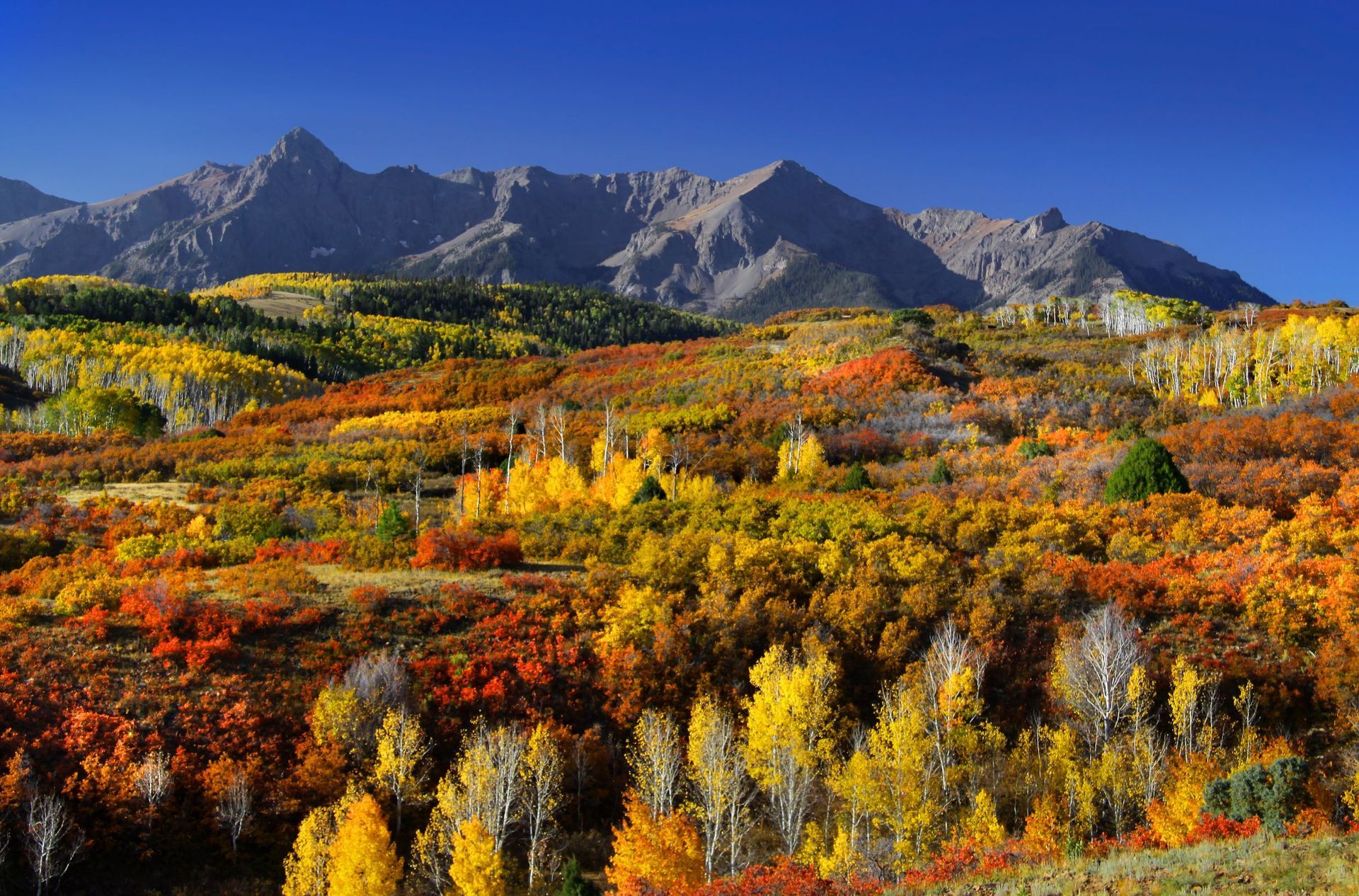 A mountain range with trees in the foreground and mountains in the background