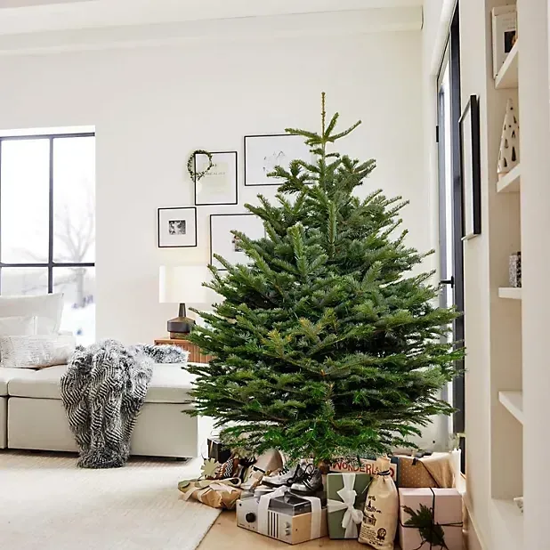 A living room with a christmas tree and presents underneath it.