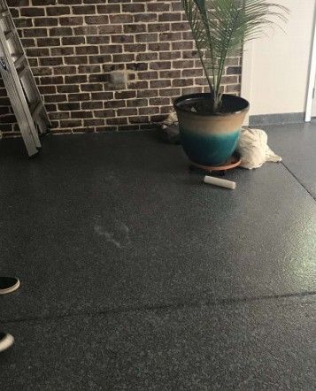 Indoor patio with a potted palm, brick wall, and white cat lying on the floor near a toy.