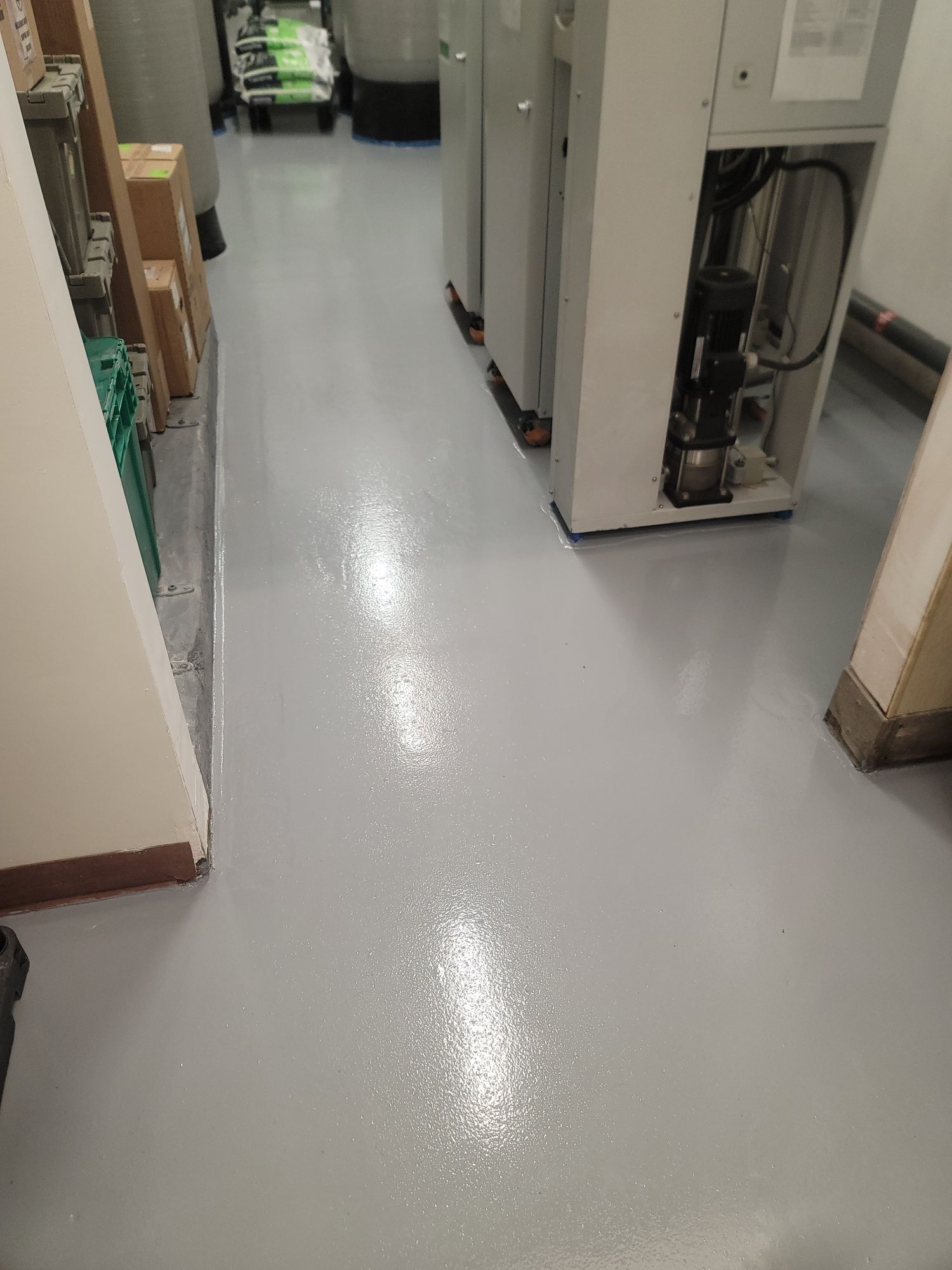 Indoor patio with a potted palm, brick wall, and white cat lying on the floor near a toy.