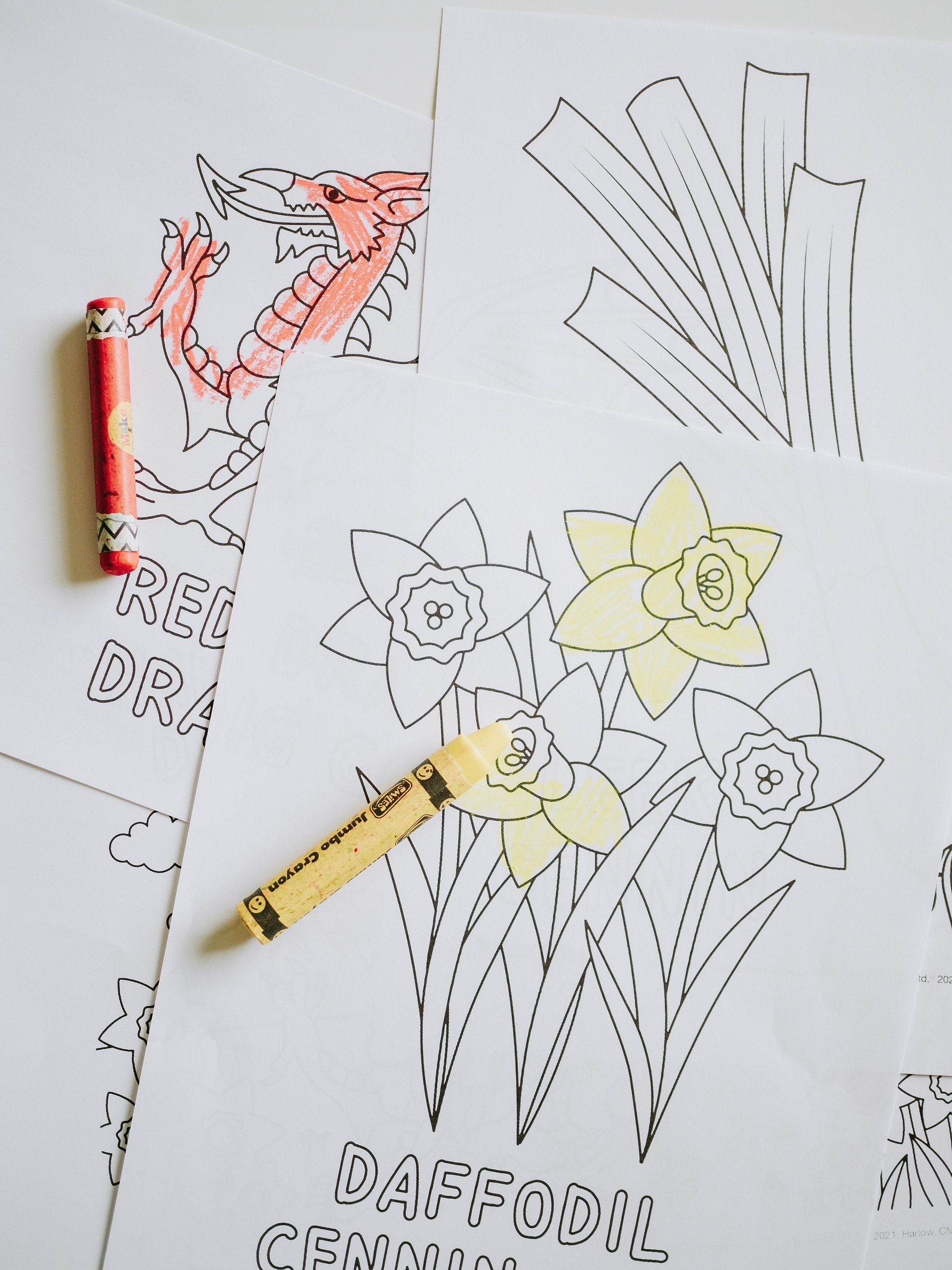 Coloring pages of a dragon and daffodils; crayons in red and yellow partially colored in.