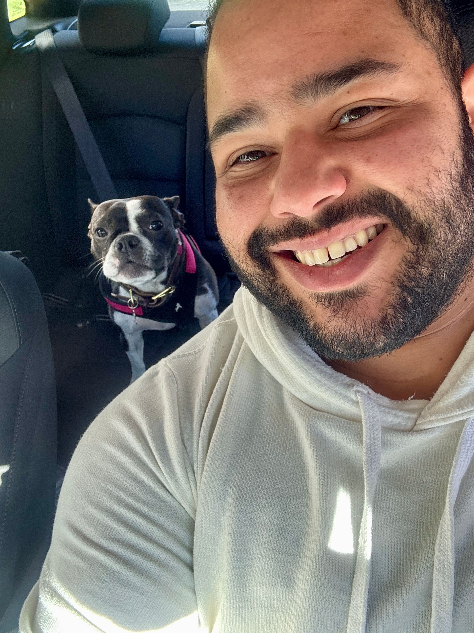 Man smiles next to a small dog in a car. Dog wears a harness.
