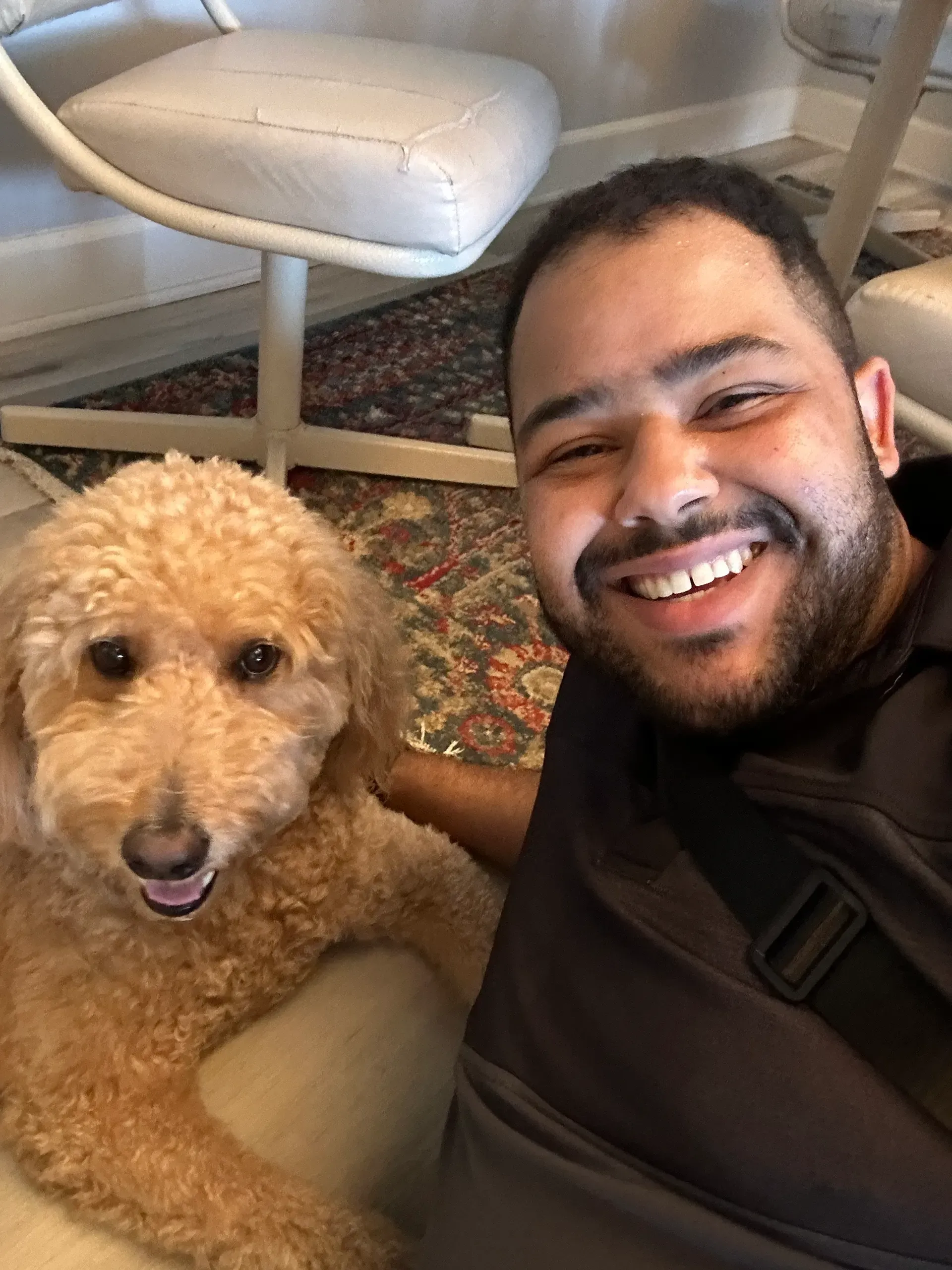 Man smiles, petting a golden poodle. Indoors, near a chair.