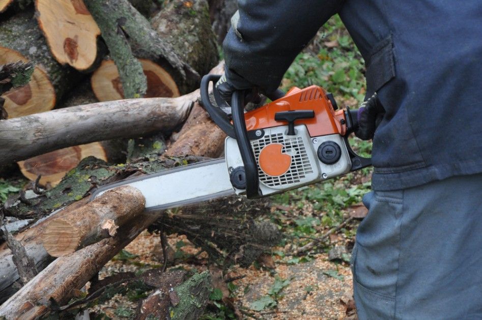A Man is Cutting a Tree With a Chainsaw — Sam Backhouse Tree Services in Moss Vale, NSW