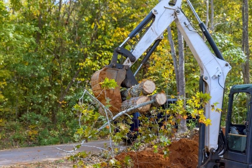 A White Excavator is Carrying Logs in Its Bucket — Sam Backhouse Tree Services in Mittagong, NSW