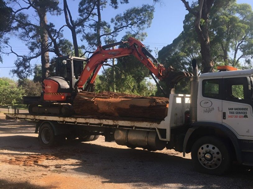 An Excavator is on the Back of a Tow Truck — Sam Backhouse Tree Services in Moss Vale, NSW