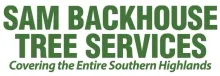 Tree Removal Southern Highlands