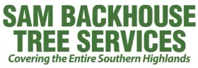 Tree Removal Southern Highlands