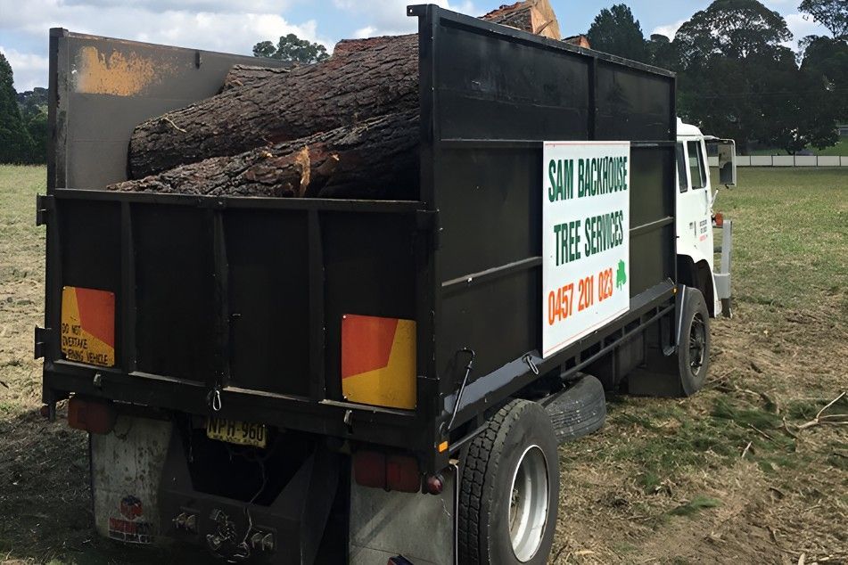 A Tree Service Truck is Parked in a Field — Sam Backhouse Tree Services in Moss Vale, NSW