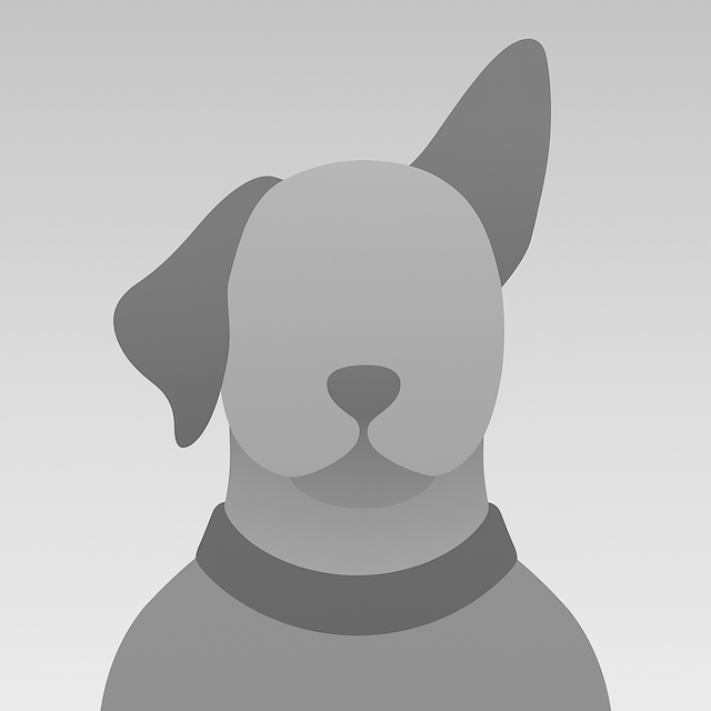 Grey dog illustration with one ear up, wearing a collar.