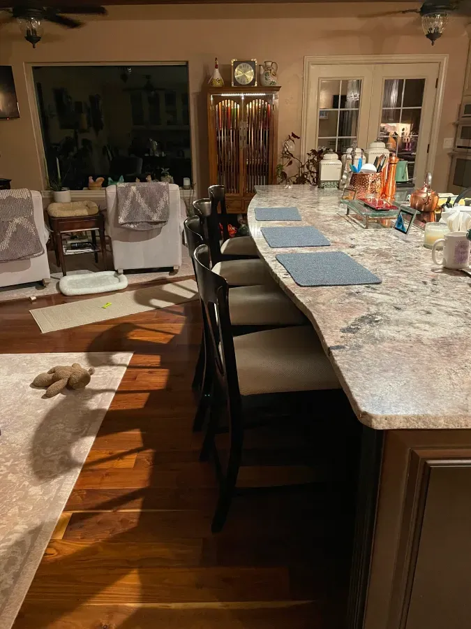 A kitchen with a long counter and stools and a dog sitting on the floor.