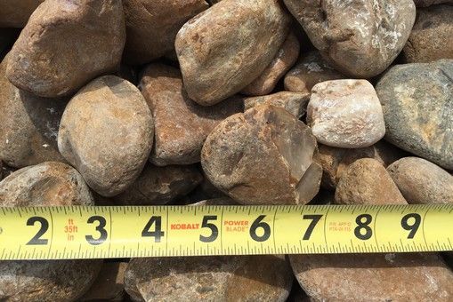Cost and Where to Buy Bull Rock