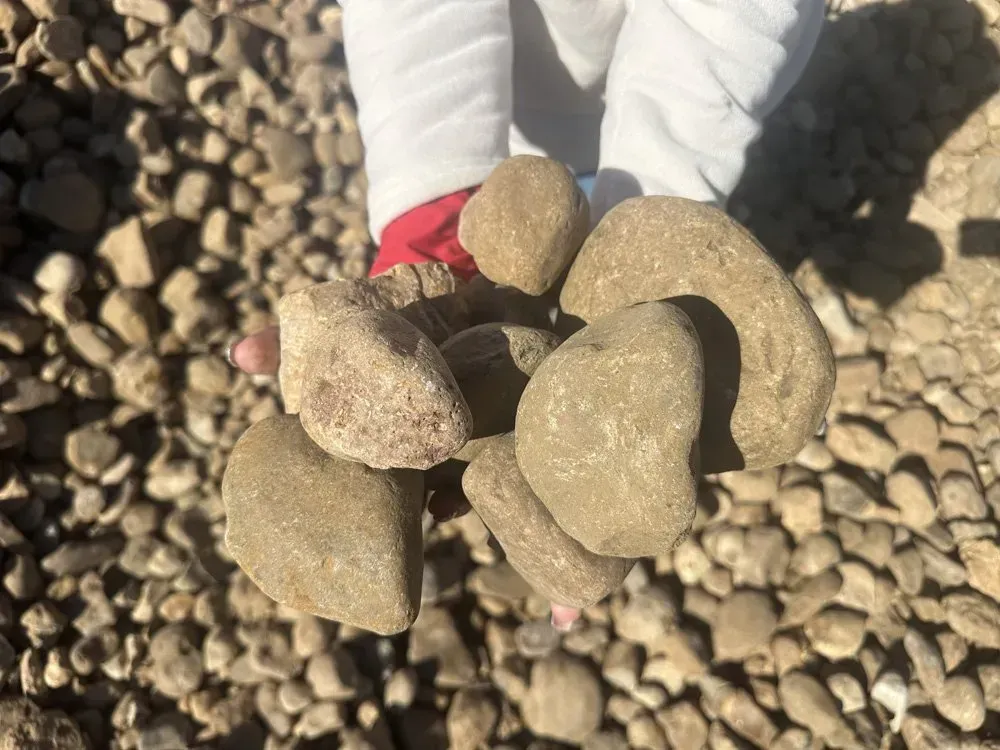 What Is Bull Rock?