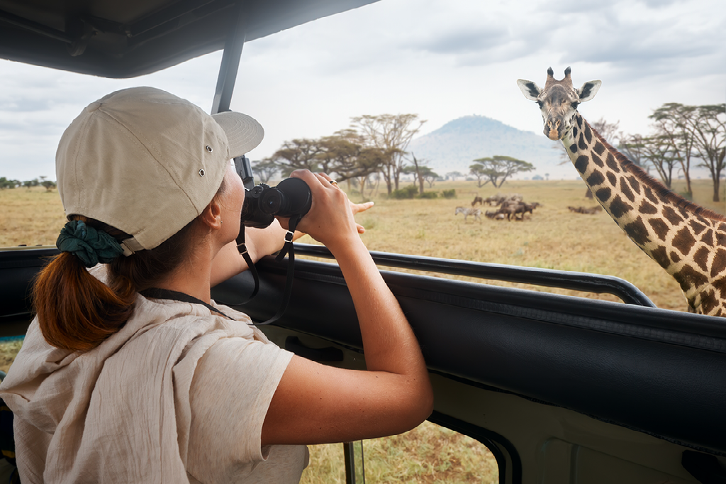 A woman is looking through binoculars at a giraffe.