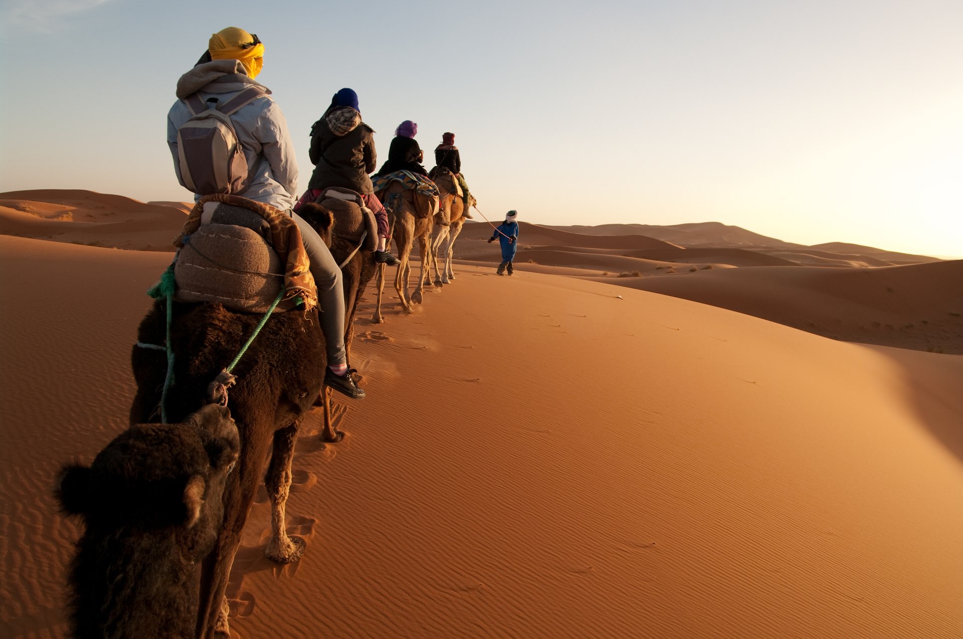 A group of people are riding camels in the desert.