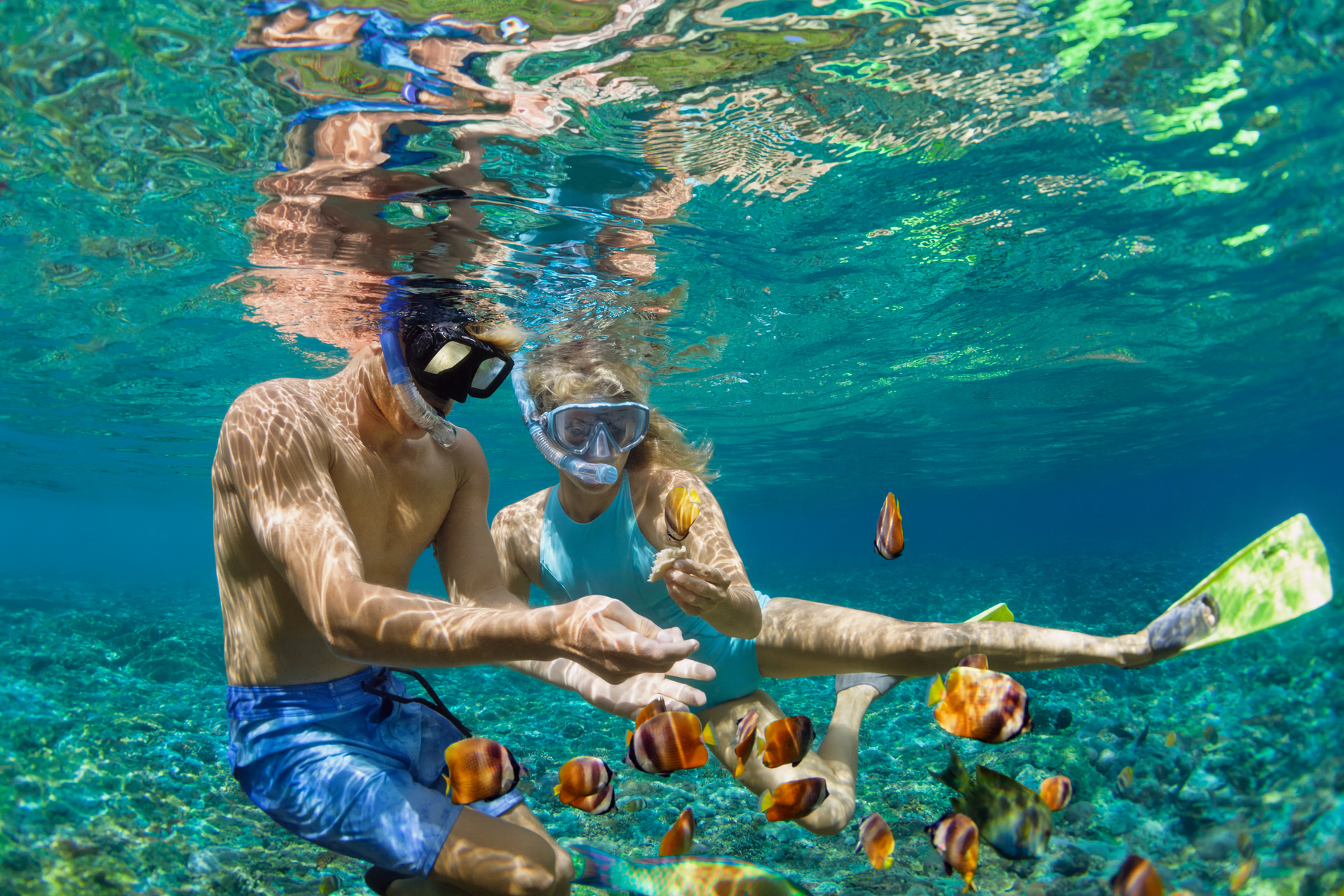 A man and a woman are snorkeling in the ocean surrounded by fish.