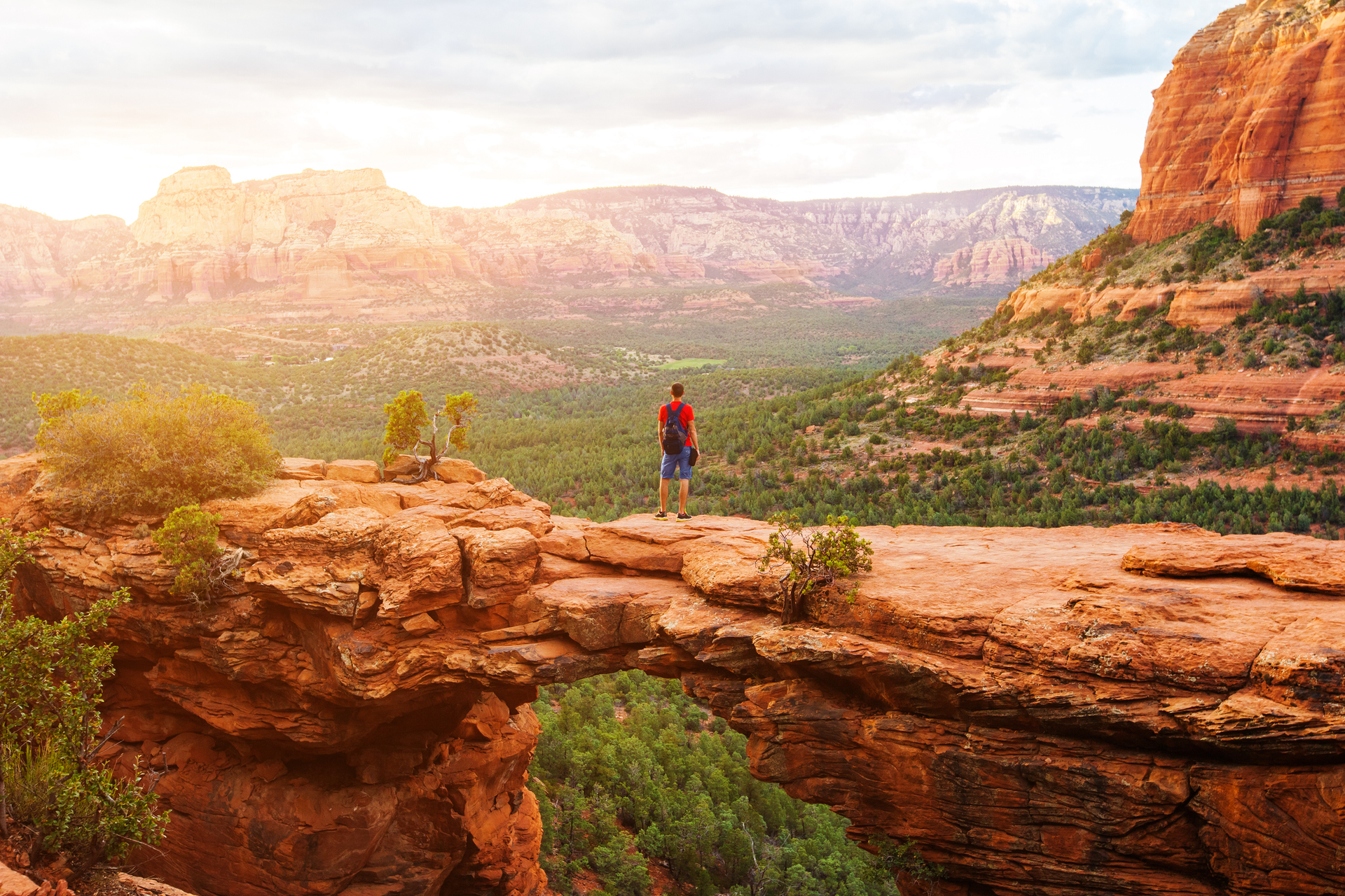 A man is standing on top of a cliff overlooking a canyon.