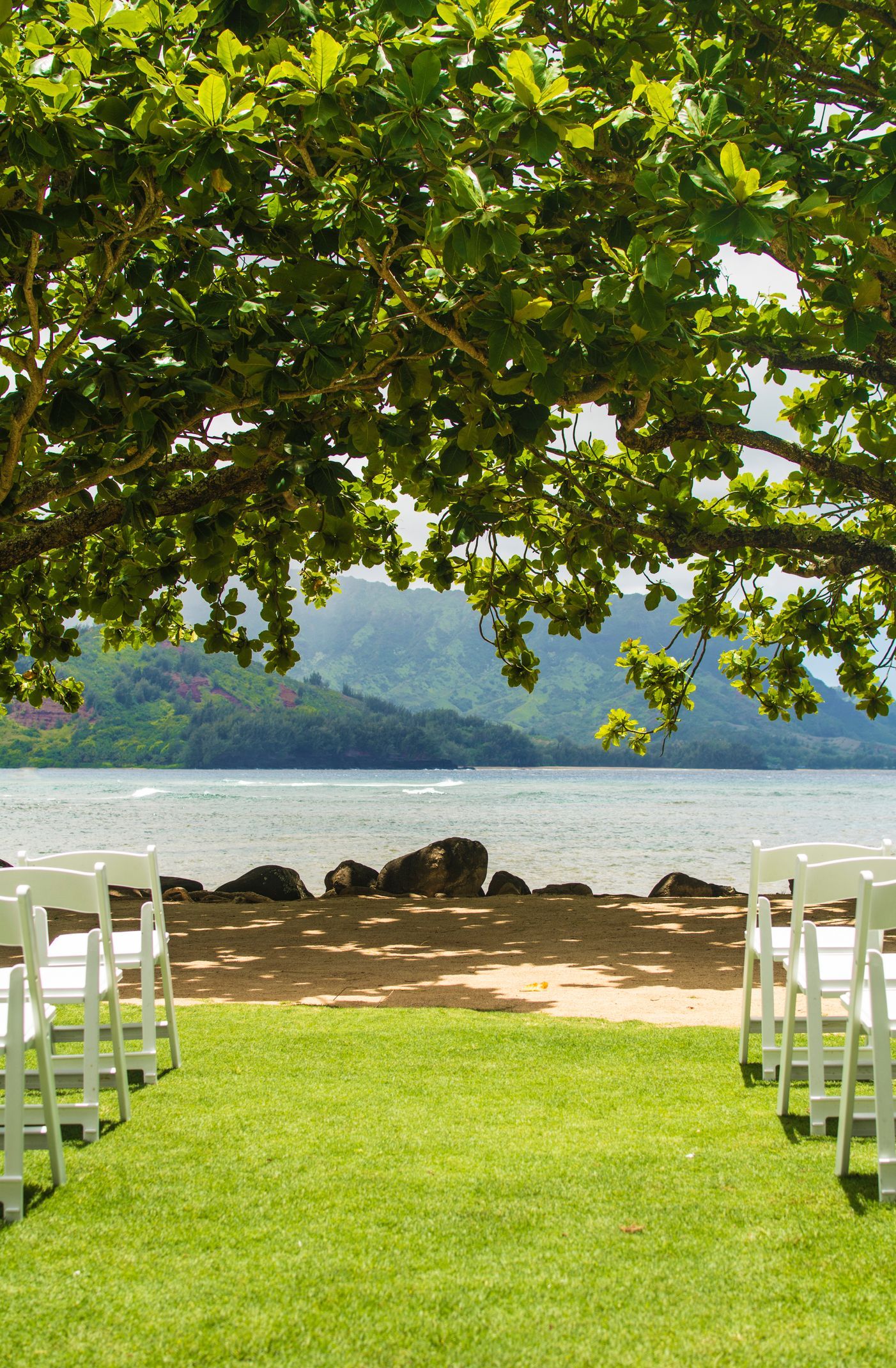 A row of white chairs are lined up on a lush green field in front of a body of water.