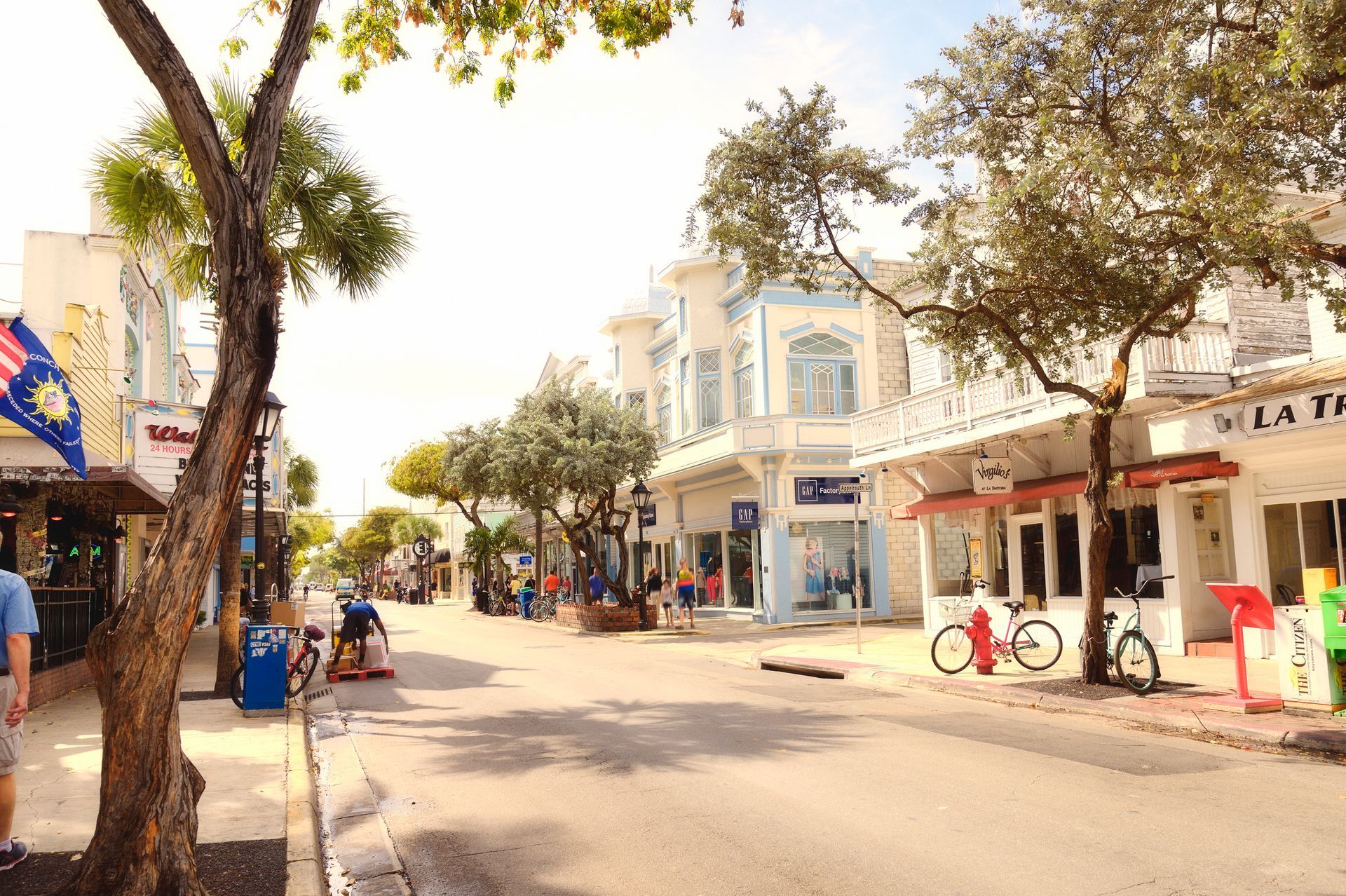 A city street with a lot of shops and trees