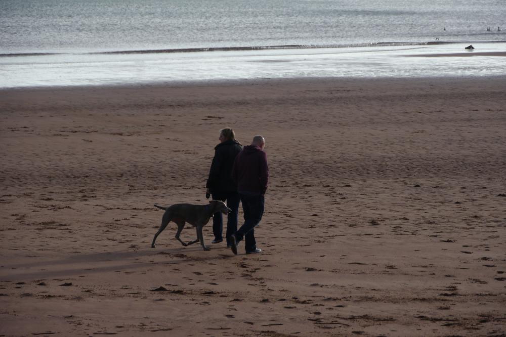 people at the beach