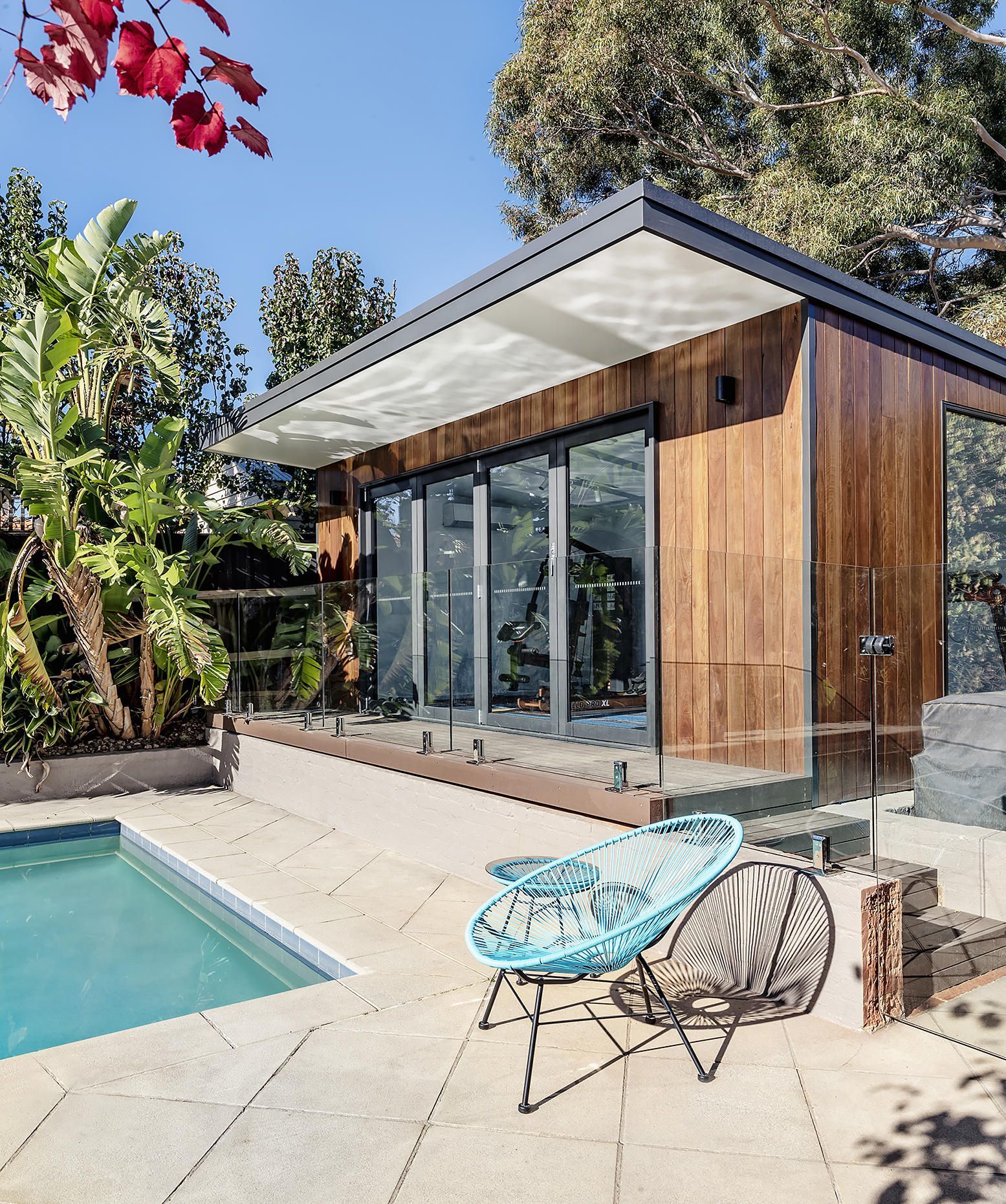 Modern Backyard Pool Beside a Wood Clad Glass Patio with A Blue Lounge Chair — WJG Built in Ballina, NSW