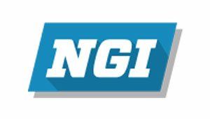 NGI Logo