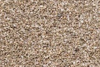 Goose Egg — Paver World — Freehold, NJ