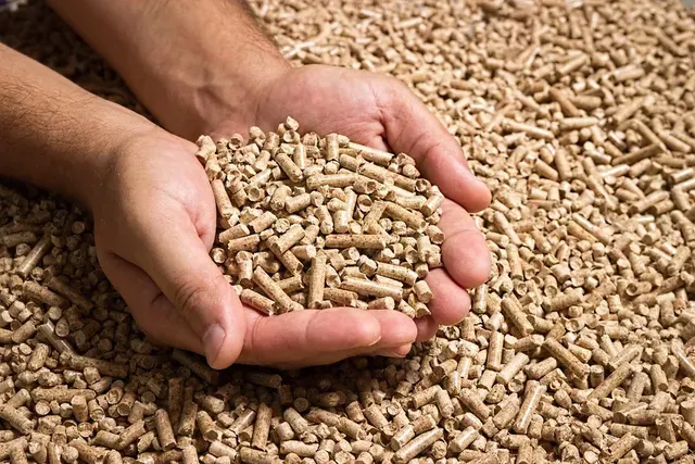 Hands cupped, holding wood pellets over a larger pile, light brown color, likely for heating.
