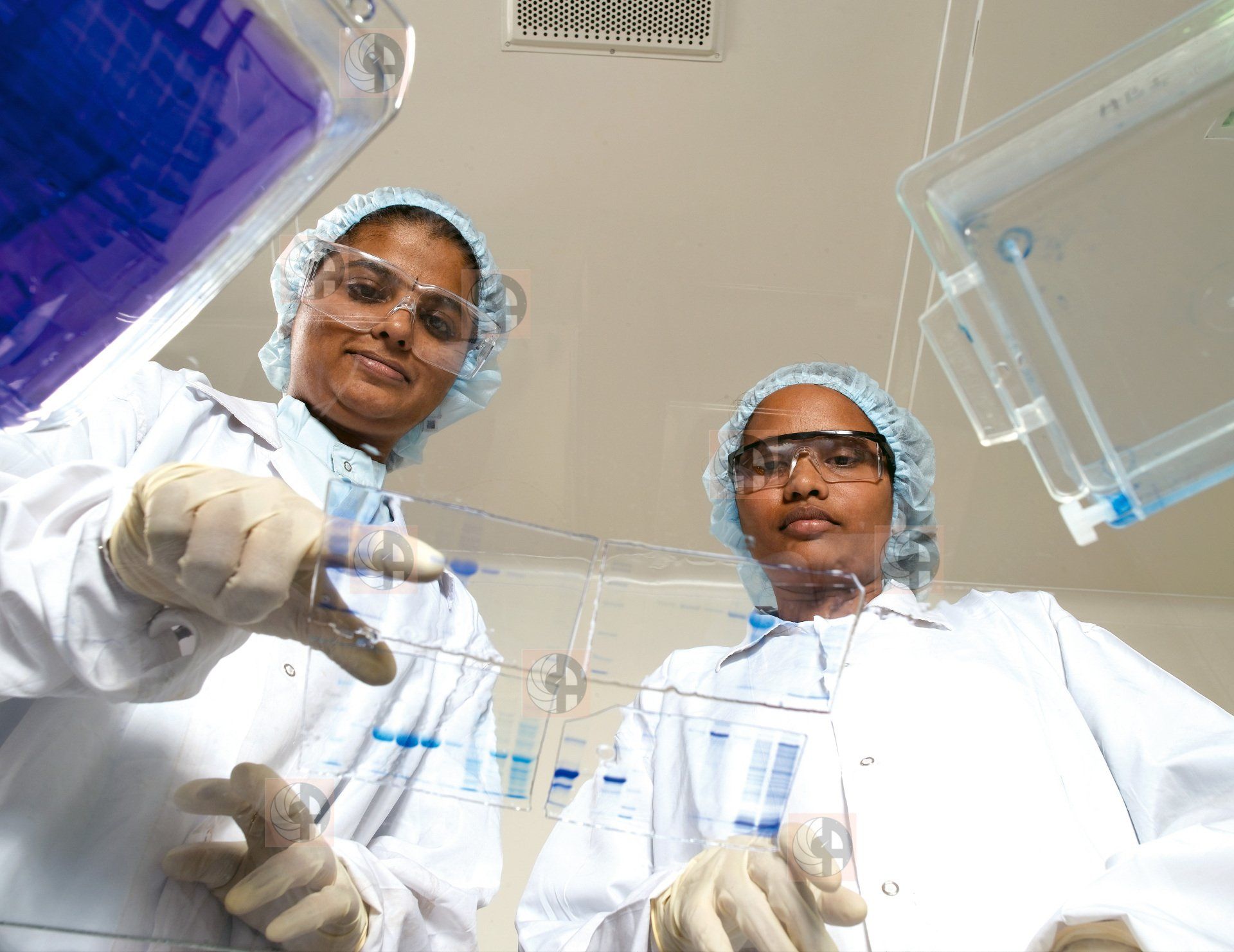 Biotechnology - Creative Photography, Biotechnology Facility Imagery