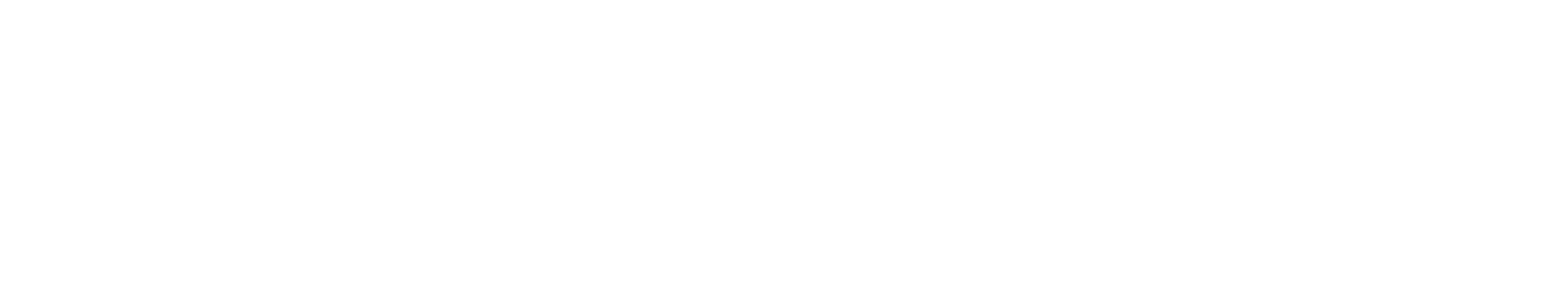 Blank white background.