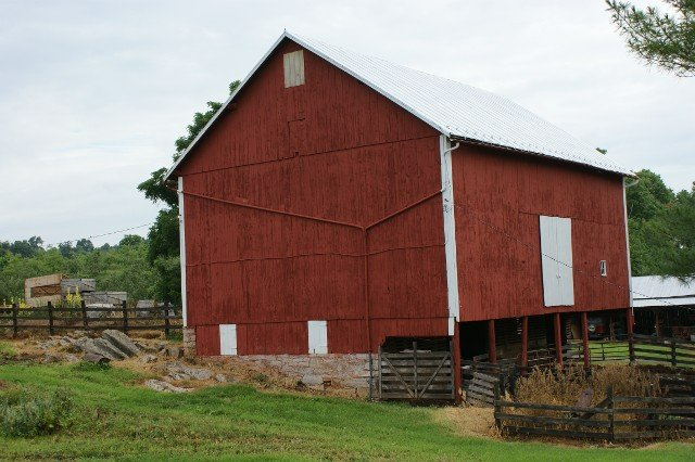 A large red barn with a white roof is sitting in the middle of a grassy field.