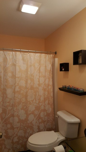A bathroom with a toilet and a shower curtain