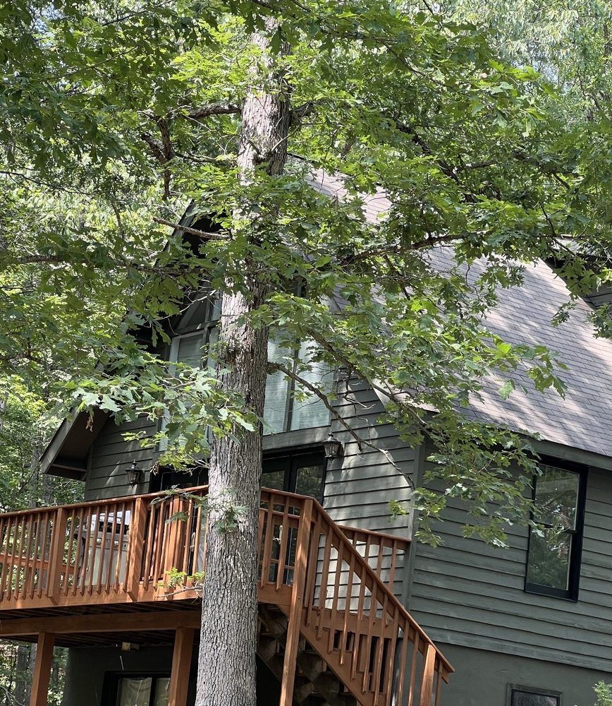 A house with a deck and stairs surrounded by trees.